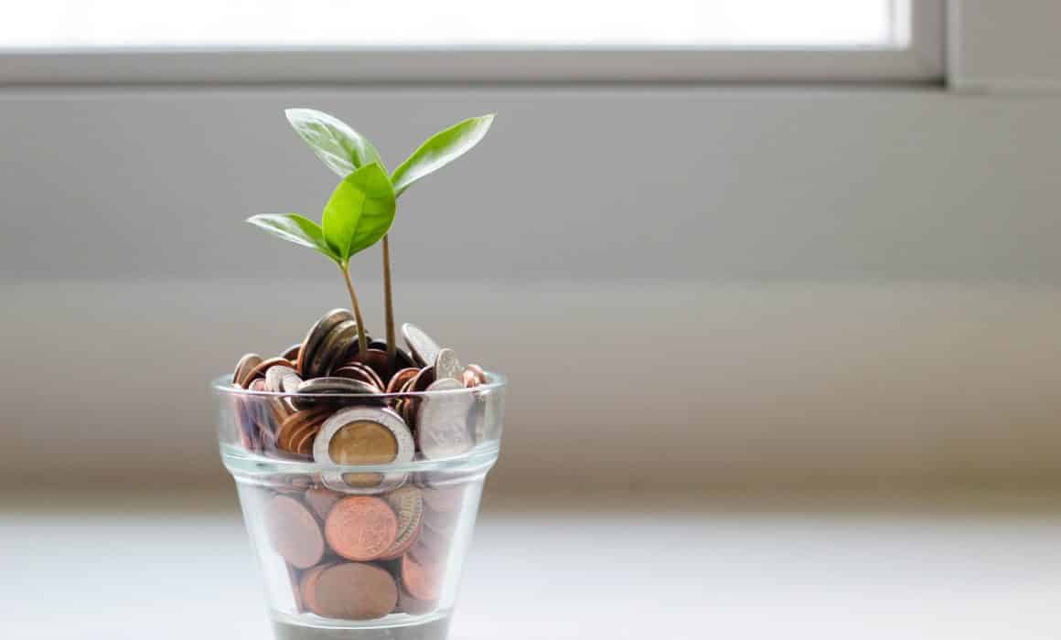 A plant growing from a vase of coins